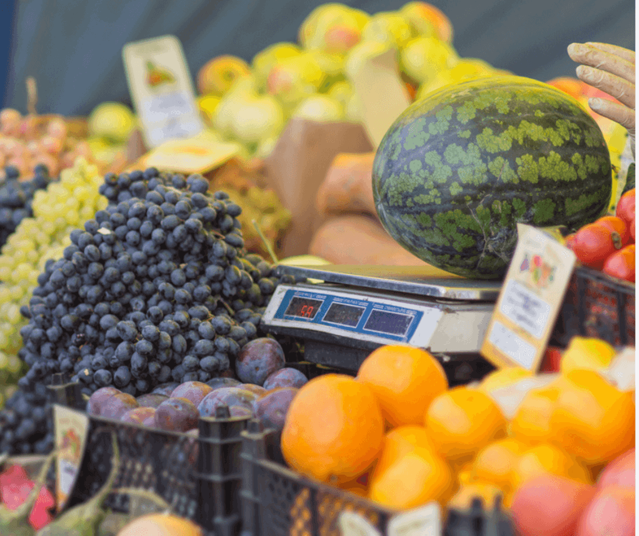 Multiply Fruit Stall Scales